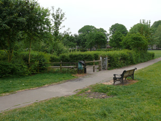 wetland slide show